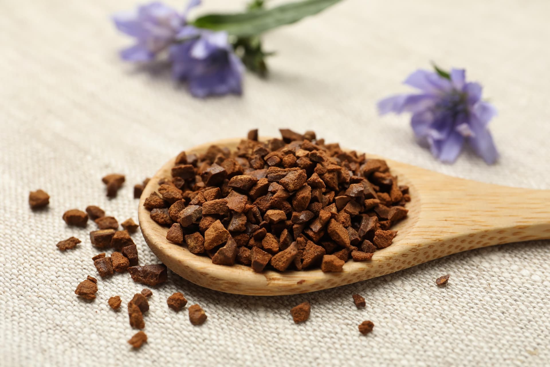 Chicory